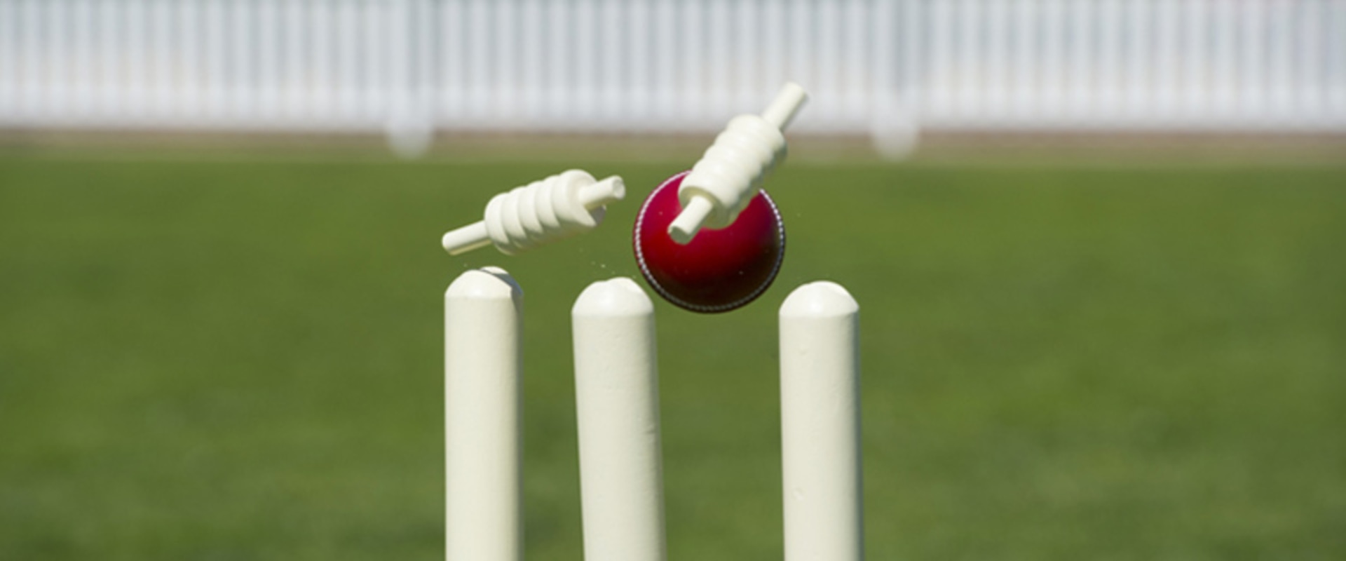 Understanding Cricket Odds