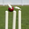 Understanding Cricket Odds